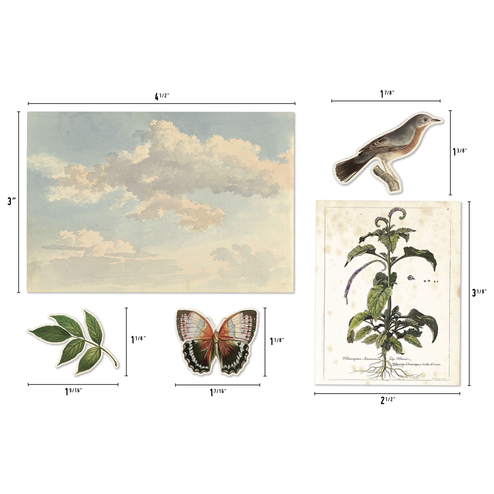 Tim Holtz ideaology Layers Organic