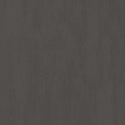 cardstock ac 12x12
