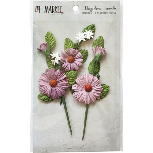 Daisy Stems - Lavender
