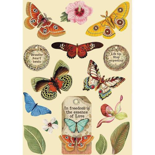 **Stamperia - Amazonia "Butterfly" - A5 Wooden Shapes