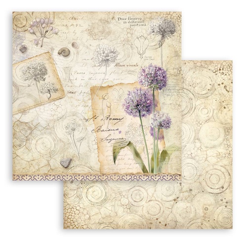 Stamperia - All Around - Allium