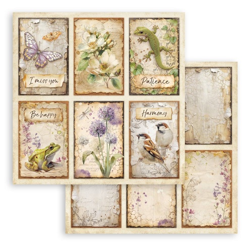 Stamperia - All Around - 6 Cards