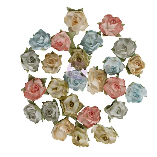 Prima - Homegrown - Flowers - Palette Blooms