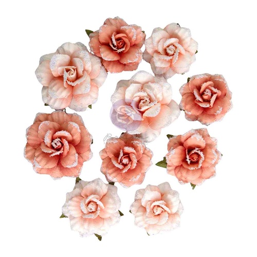 Prima - Homegrown - Flowers - Blush Harvest