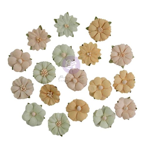 Prima - Homegrown - Flowers - Meadow Petals
