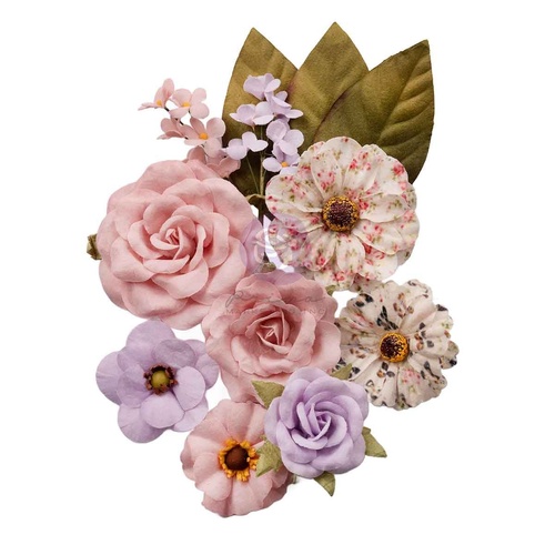Prima - Sweet Spring - Flowers - Lovely Garden