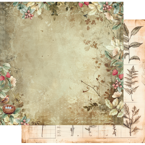 Uniquely Creative - Botanical Chronicles - Beautiful Botany