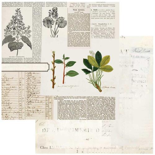 49 and Market - Curators Botanical - Florilegia
