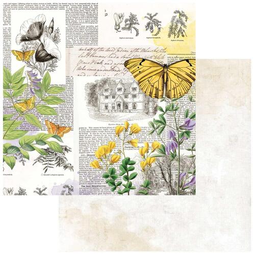 49 and Market - Curators Botanical - Flutterology