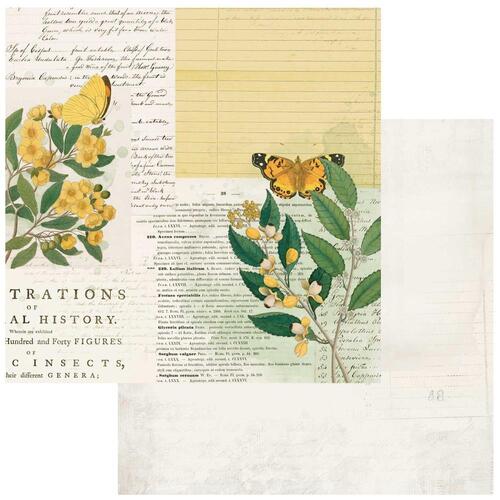 49 and Market - Curators Botanical - Natural History