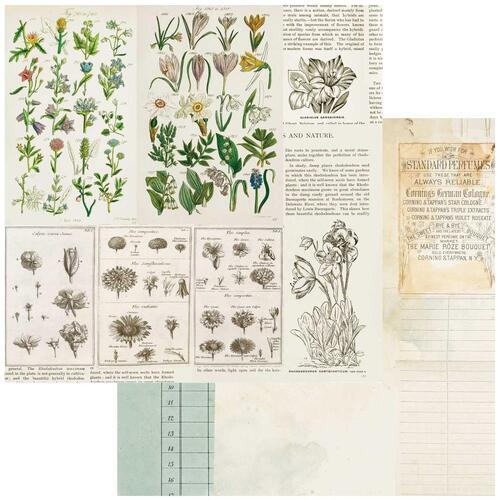 49 and Market - Curators Botanical - Anthology