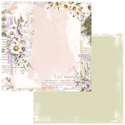 49 and Market - The Looking Glass - Enchanted Note