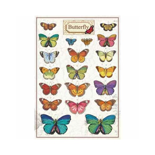 Butterfly - Labels