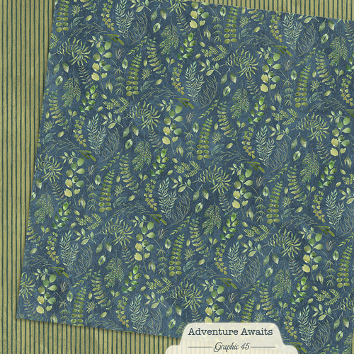 Graphic 45 - Adventure Awaits - Floral Fern