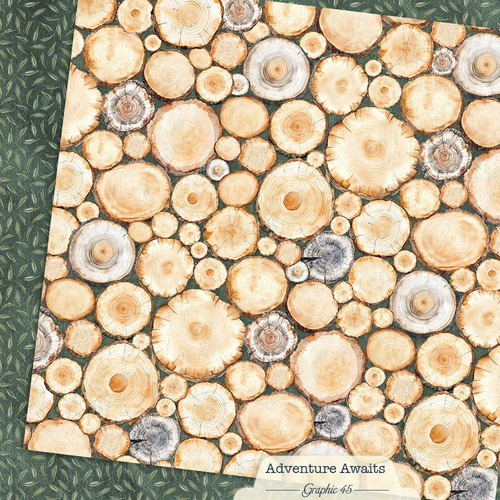 Graphic 45 - Adventure Awaits - Tree Rings