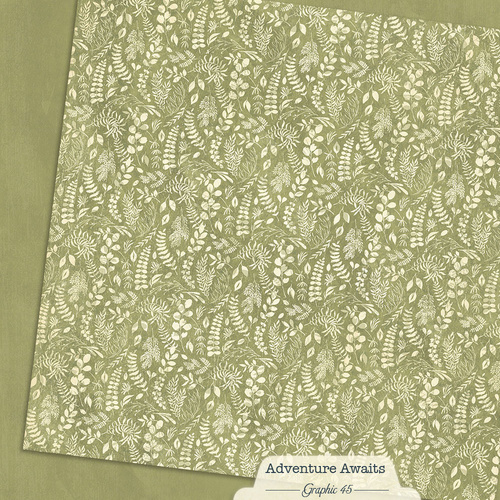 Graphic 45 - Adventure Awaits - Fern Green Pattern & Solid Sheet