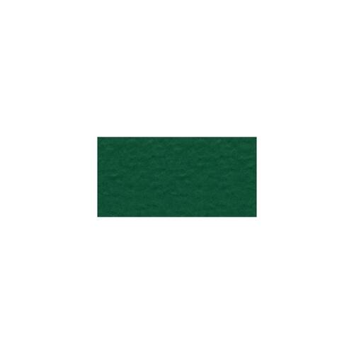 Bazzill Mono - 12X12 Cardstock - Classic Green
