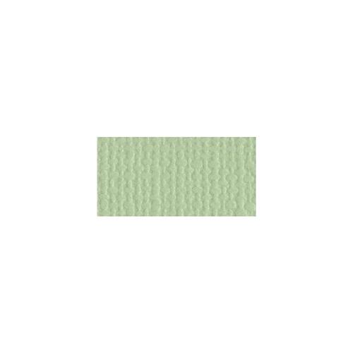 Bazzill Mono - 12X12 Cardstock - Aloe Vera
