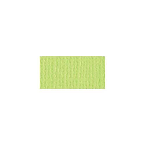 Bazzill Mono - 12X12 Cardstock - Limeade
