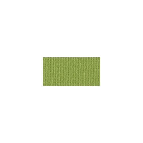 Bazzill Mono - 12X12 Cardstock - Parakeet