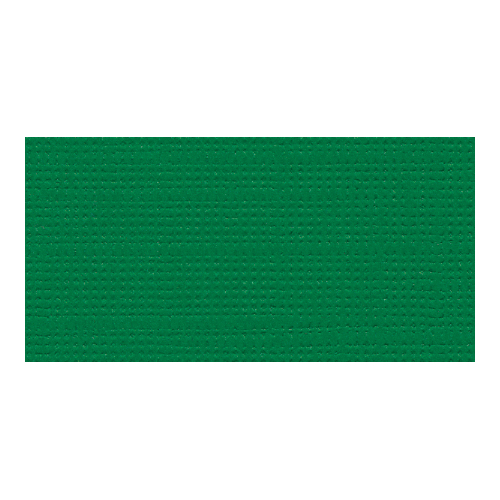 Bazzill Mono - 12X12 Cardstock - Bazzill Green