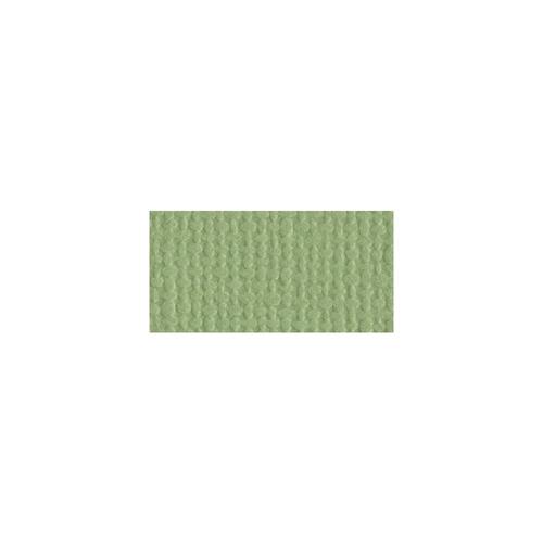Bazzill Mono - 12X12 Cardstock - Pear