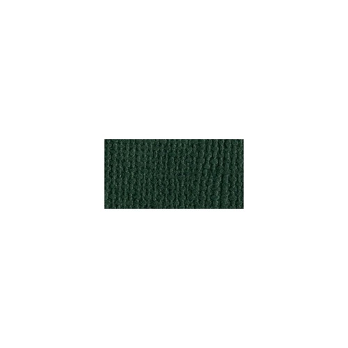 Bazzill Mono - 12X12 Cardstock - Aspen