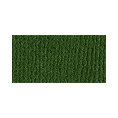 Bazzill Mono - 12X12 Cardstock - Ivy