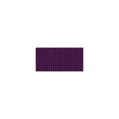 Bazzill Mono - 12X12 Cardstock - Velvet