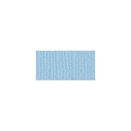 Bazzill Mono - 12X12 Cardstock - Starmist