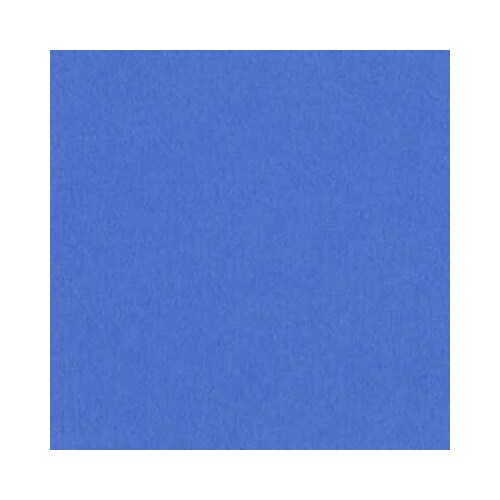 Bazzill Mono - 12X12 Cardstock - Blue