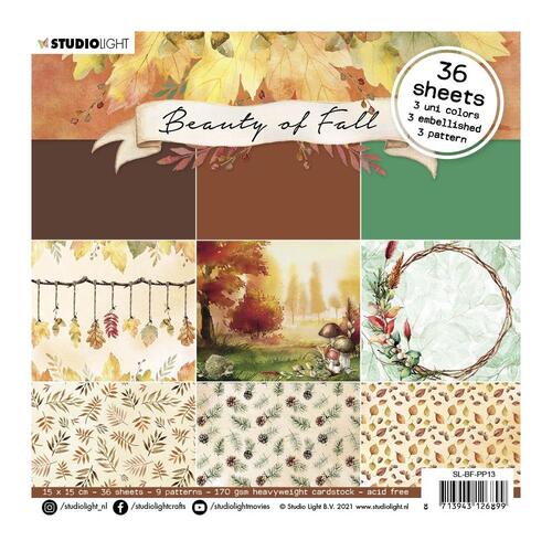 Studio Light - Beauty of Fall - 6x6 Paper Pad