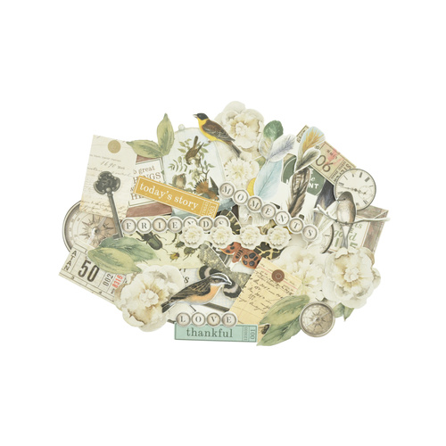Anthology - Collectables