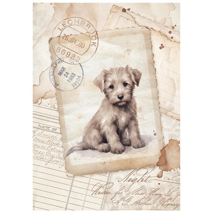Stamperia - Quiet Days - Mini Rice paper A6 8 sheets
