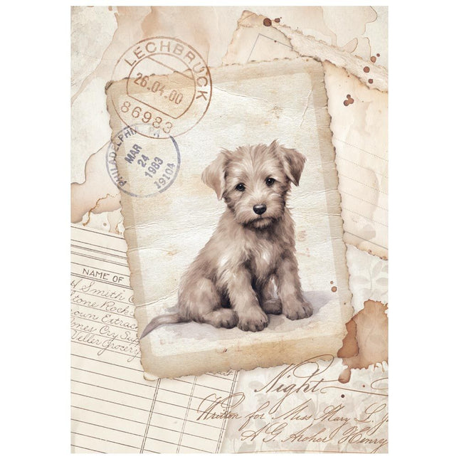 Stamperia - Quiet Days - Mini Rice paper A6 8 sheets