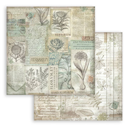 Stamperia - Herbarium Silvae Backgrounds - 12x12 Paper Pad