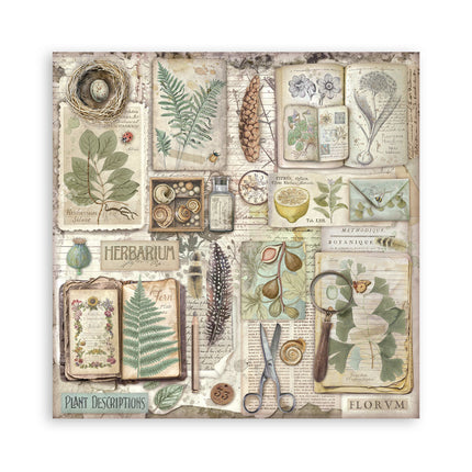 Stamperia - Herbarium Silvae - Maxi 12x12 Paper Pad