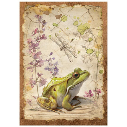 Stamperia - All Around - Mini Rice paper A6 8 sheets