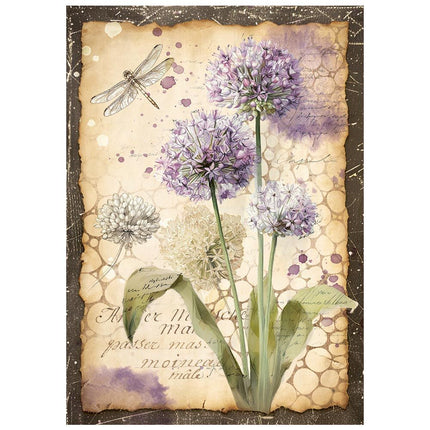 Stamperia - All Around - Mini Rice paper A6 8 sheets