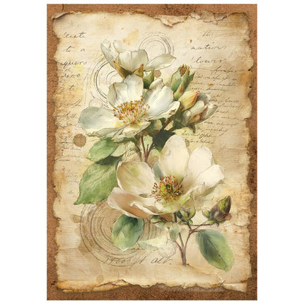 Stamperia - All Around - Mini Rice paper A6 8 sheets