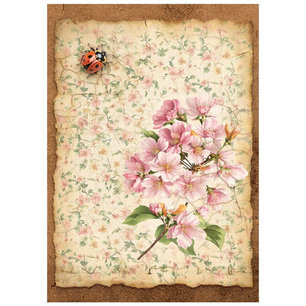 Stamperia - All Around - Mini Rice paper A6 8 sheets