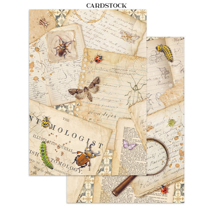 Stamperia - All Around - Junk journal stickers, cut-outs, backgrounds