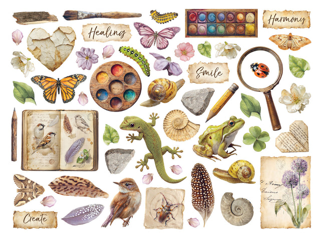 Stamperia - All Around - Die Cuts