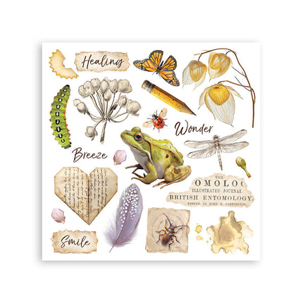 Stamperia - All Around - Rub-On Kit - 6/Pkg