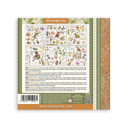 Stamperia - All Around - Rub-On Kit - 6/Pkg