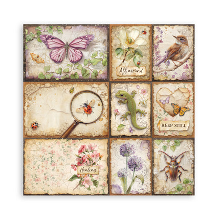 Stamperia - All Around - Maxi 12x12 Paper Pad