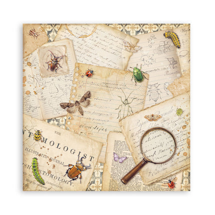 Stamperia - All Around - Maxi 8x8 Paper Pad