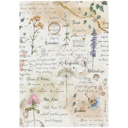 Stamperia - Flowers & Poems - Rice Paper A4 Selection - 5993110055693 - 4