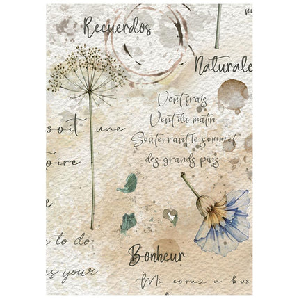 Stamperia - Flowers & Poems - Mini Rice paper A6 8 sheets