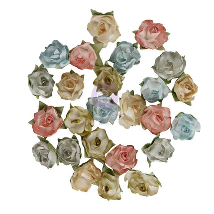 Prima - Homegrown - Flowers - Palette Blooms